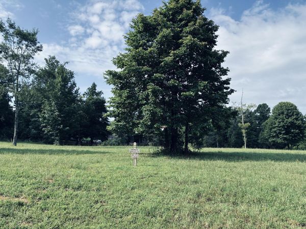 205 Raulston Falls Road, Jasper, TN 37347