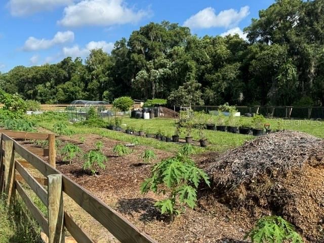 35934 Gatch Road, Eustis, FL 32736 Photo