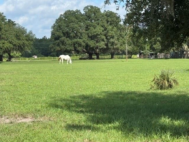 35934 Gatch Road, Eustis, FL 32736 Photo