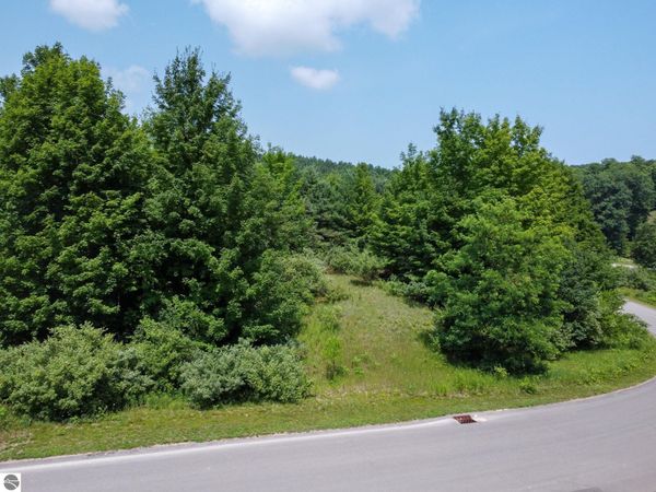 61 Skye Hill Drive S, Traverse City, MI 49684