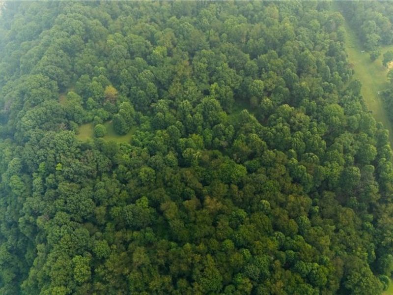 Township Road 382, Steubenville, OH 43952 Photo 10