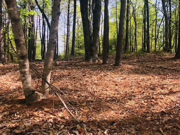 Lot 7 Gold Run Drive, Ferguson, NC 28624