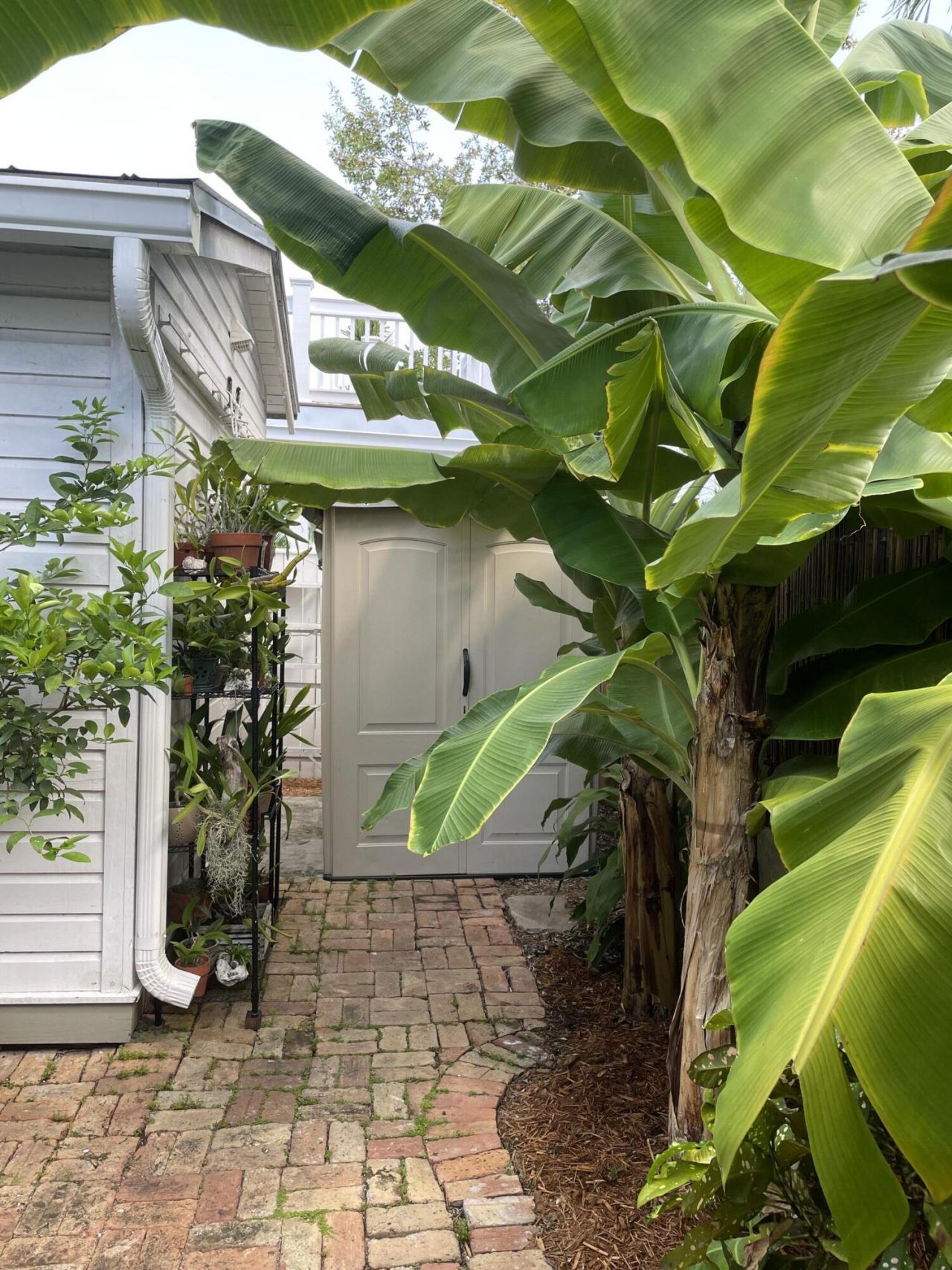 907 Frances Street, Key West, FL 33040 Photo