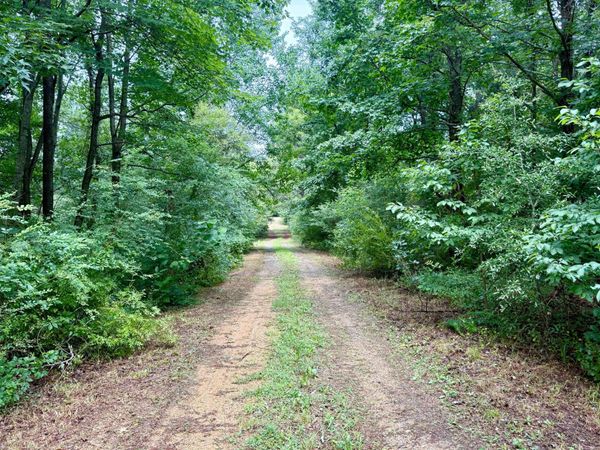 45291 TAKE IT EASY RANCH ROAD , CALLAWAY, MD 20620
