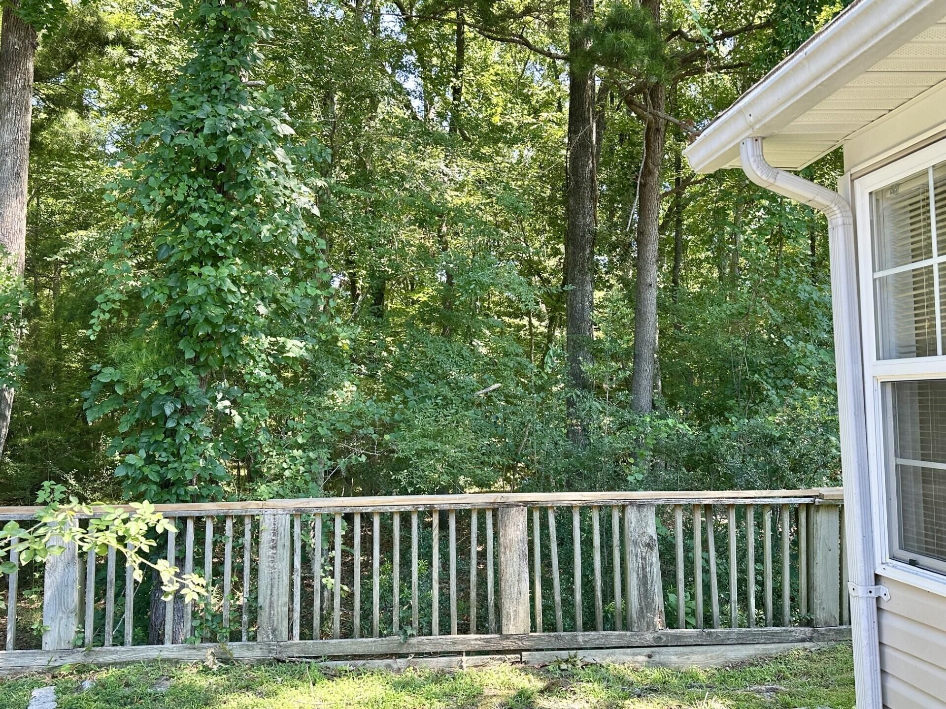112 Hardee Avenue Photo 17