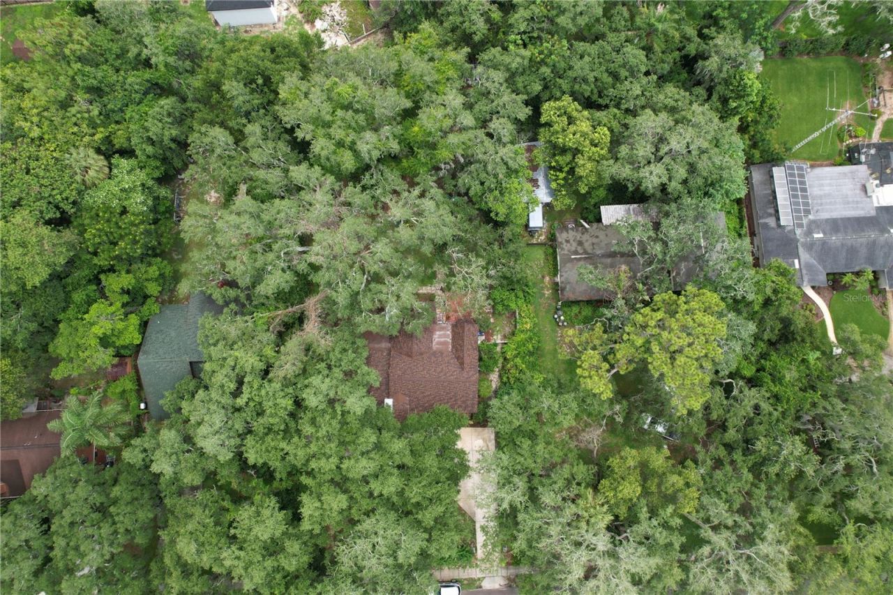 11805 N 51st Street , Temple Terrace, FL 33617 Photo