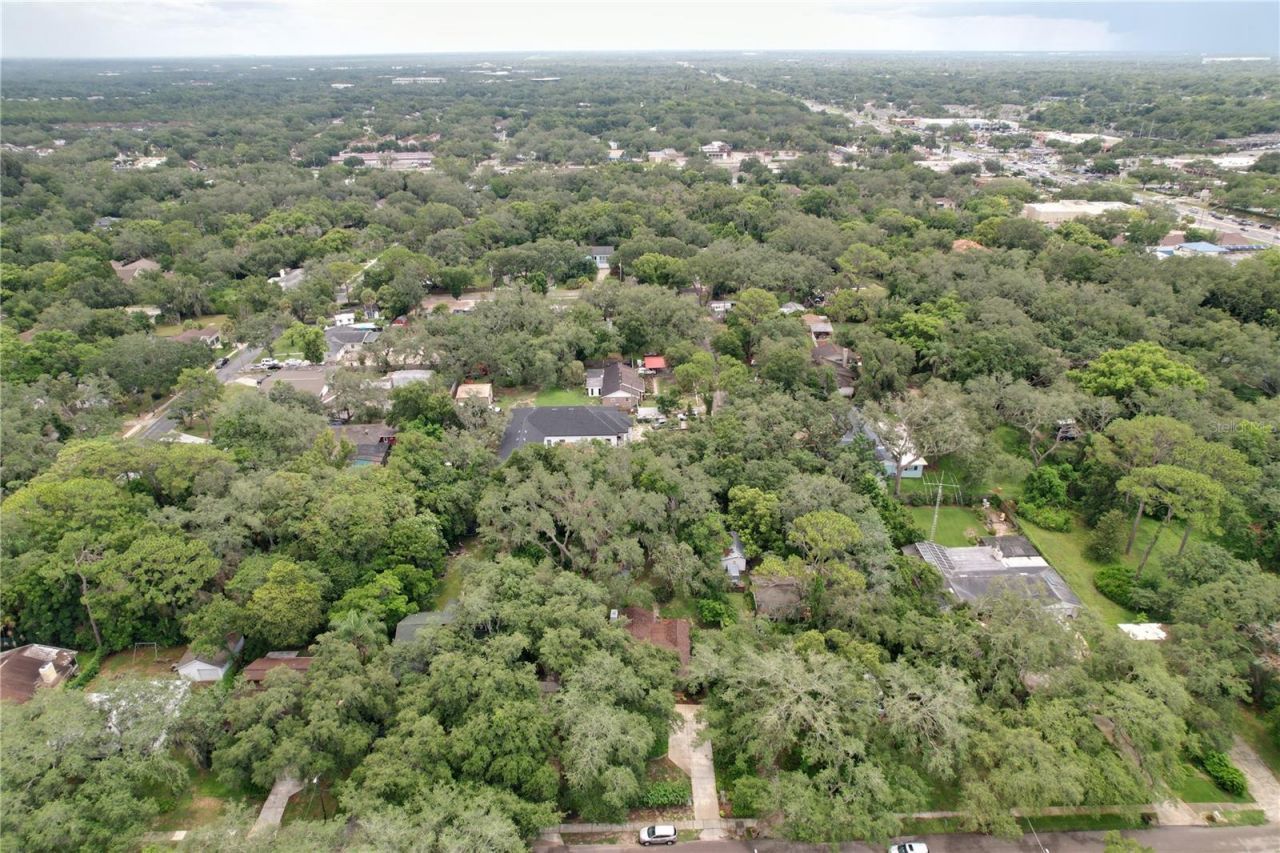 11805 N 51st Street , Temple Terrace, FL 33617 Photo