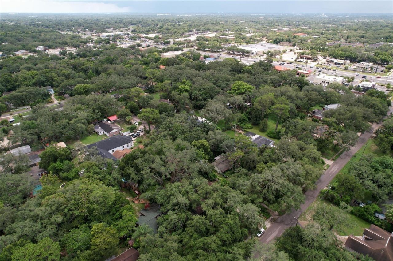 11805 N 51st Street , Temple Terrace, FL 33617 Photo