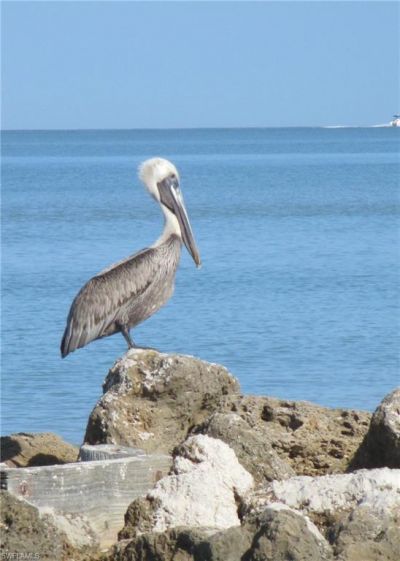 1337 Corso Palermo Ct, Unit 1, Naples, FL 34105 Photo