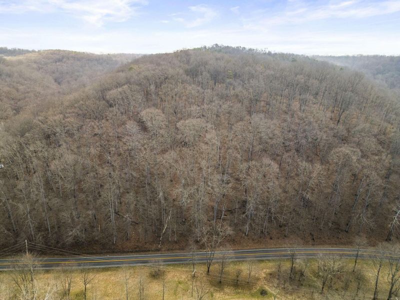 23972 Brown Road, Unit Lot 1, South Bloomingville, OH 43152 Photo 14