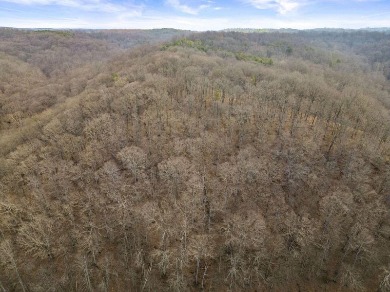23972 Brown Road, Unit Lot 1, South Bloomingville, OH 43152 Photo 16