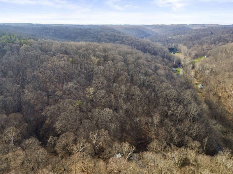 23972 Brown Road, Unit Lot 1, South Bloomingville, OH 43152 Photo 18