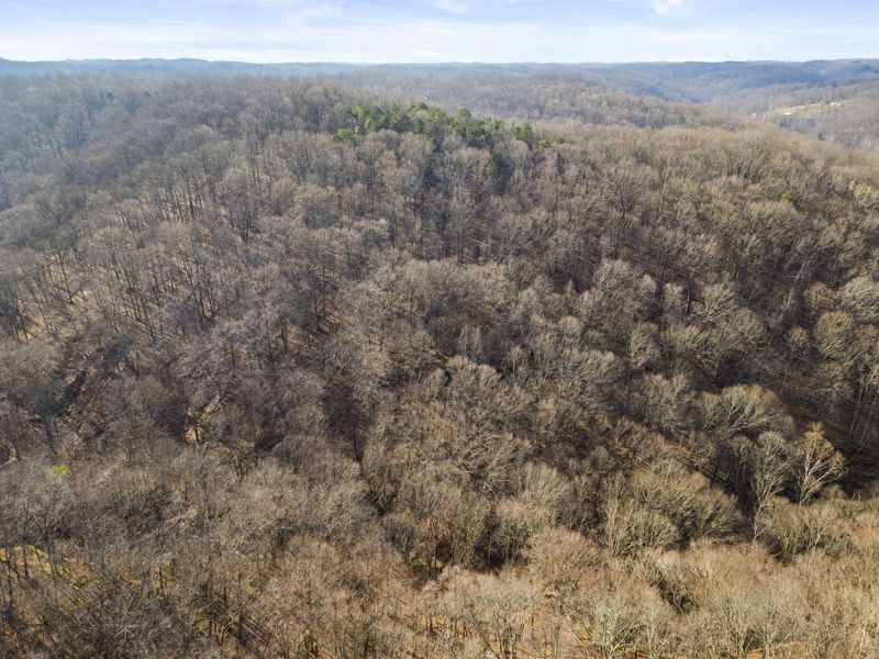 23972 Brown Road, Unit Lot 1, South Bloomingville, OH 43152 Photo 20