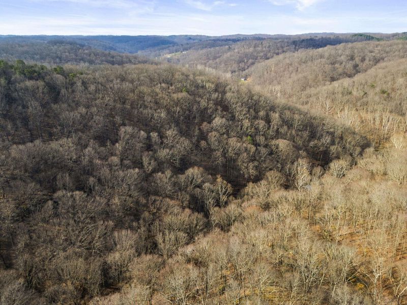 23972 Brown Road, Unit Lot 1, South Bloomingville, OH 43152 Photo 21