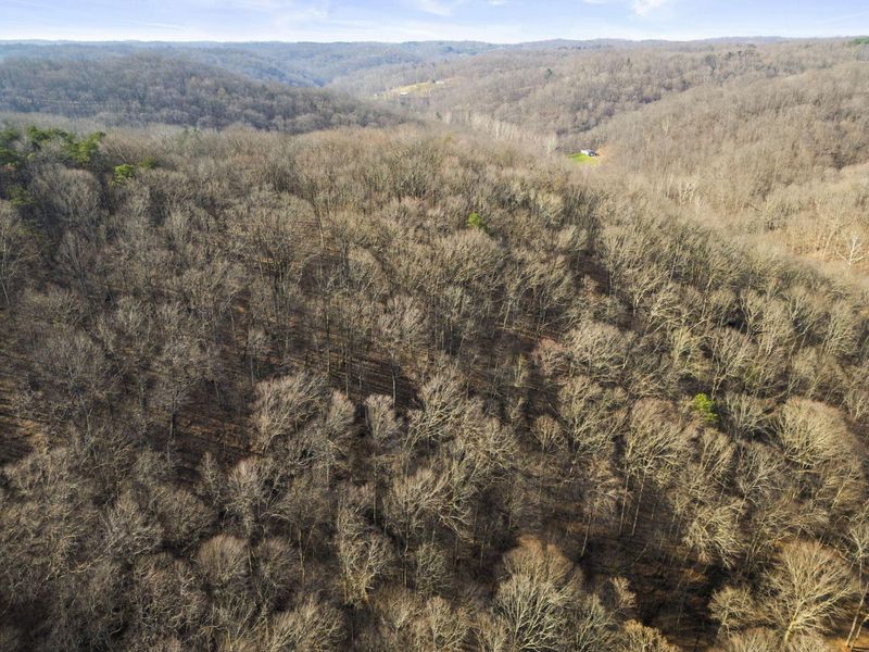 23972 Brown Road, Unit Lot 1, South Bloomingville, OH 43152 Photo 22