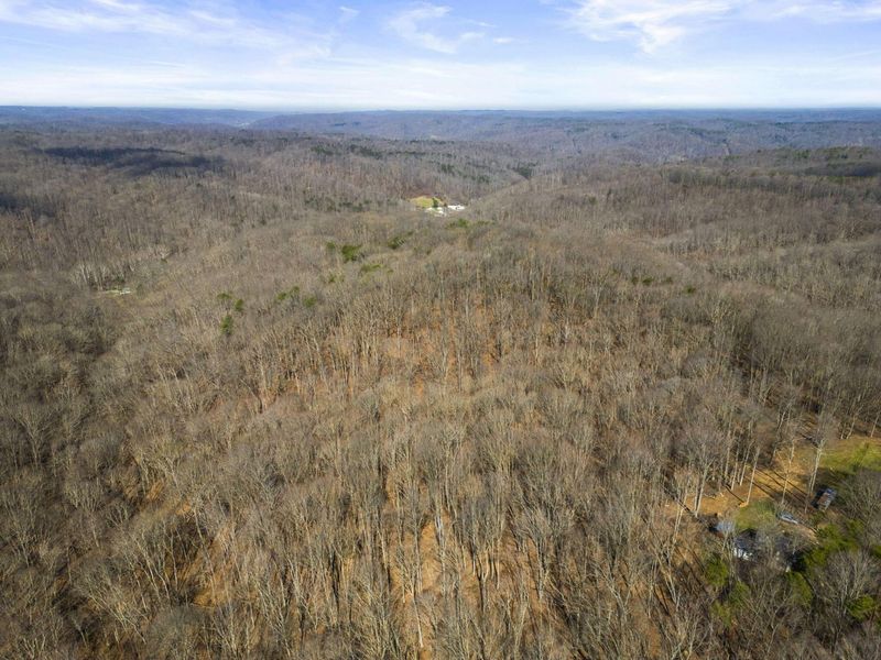 23972 Brown Road, Unit Lot 1, South Bloomingville, OH 43152 Photo 25