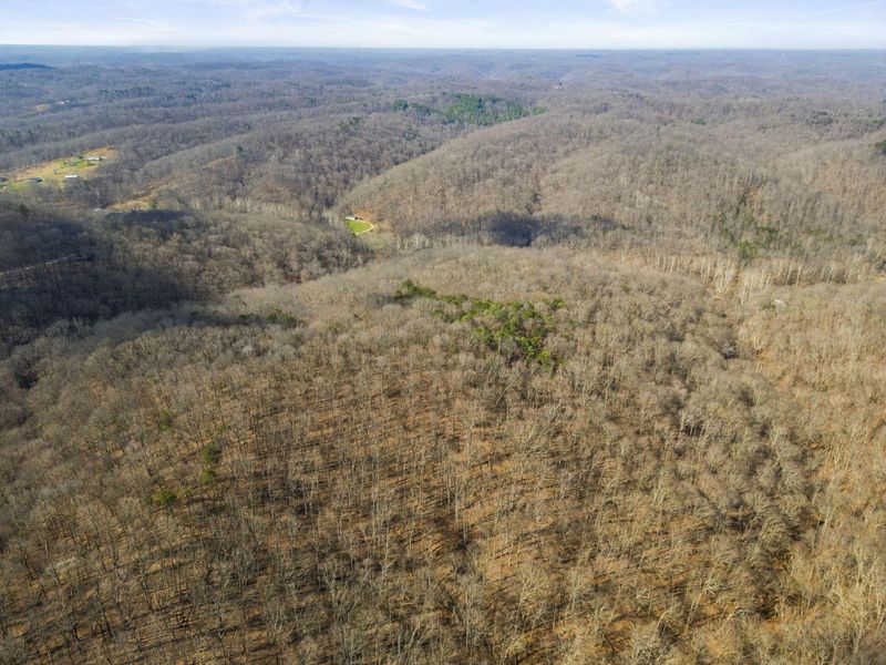 23972 Brown Road, Unit Lot 1, South Bloomingville, OH 43152 Photo 29