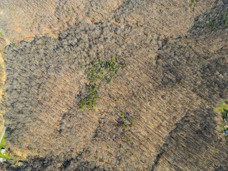 23972 Brown Road, Unit Lot 1, South Bloomingville, OH 43152 Photo 39