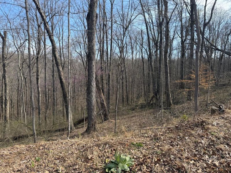 23972 Brown Road, Unit Lot 1, South Bloomingville, OH 43152 Photo 4