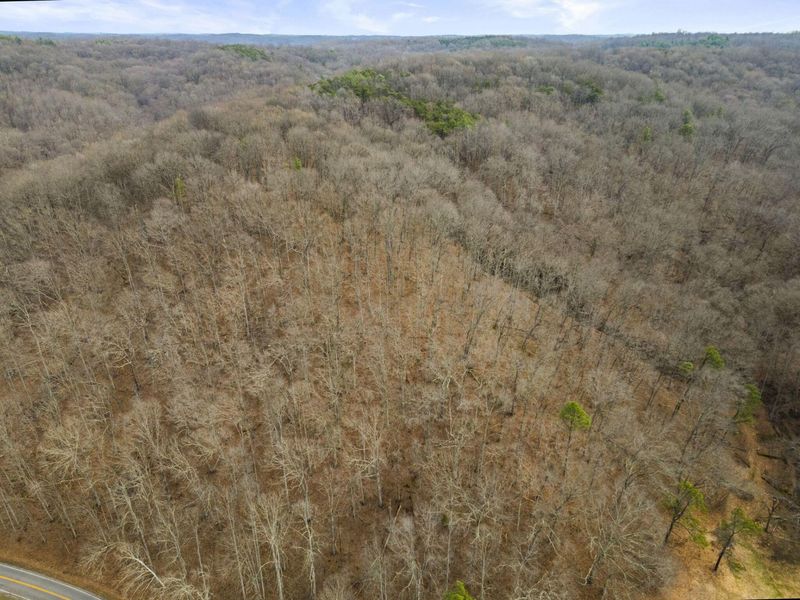 23972 Brown Road, Unit Lot 1, South Bloomingville, OH 43152 Photo 46