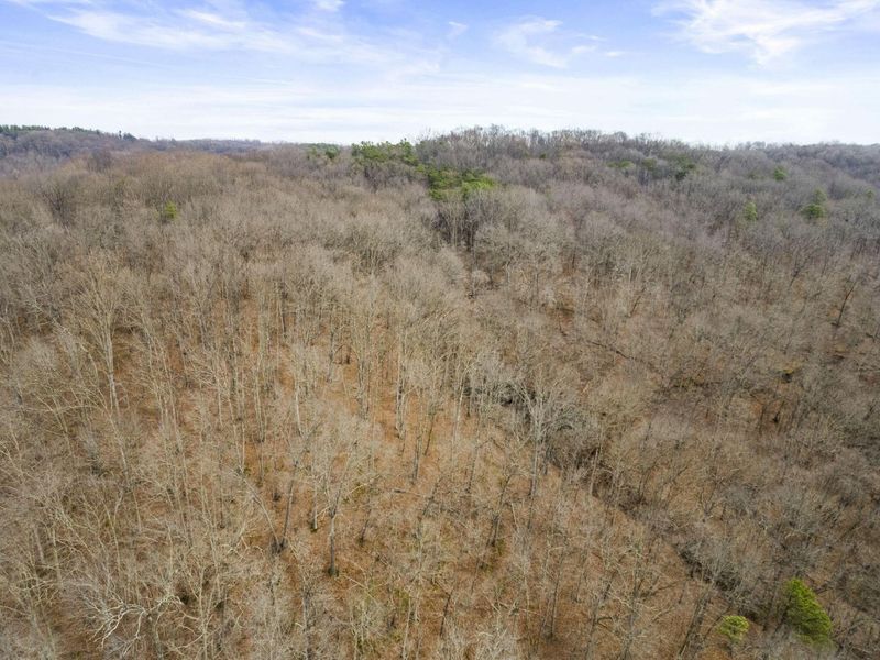 23972 Brown Road, Unit Lot 1, South Bloomingville, OH 43152 Photo 47
