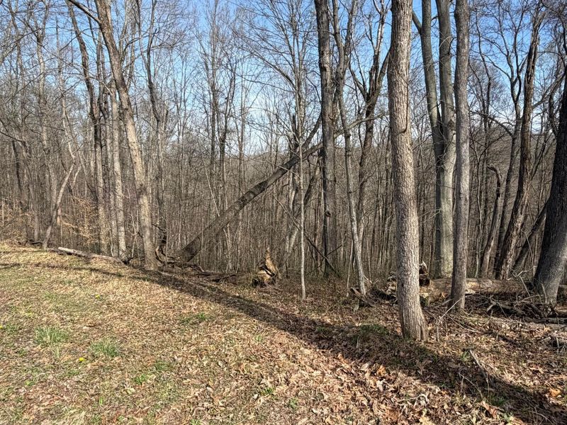 23972 Brown Road, Unit Lot 1, South Bloomingville, OH 43152 Photo 5