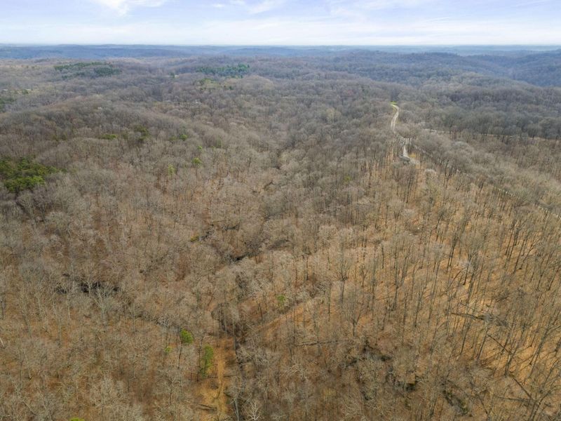 23972 Brown Road, Unit Lot 1, South Bloomingville, OH 43152 Photo 55