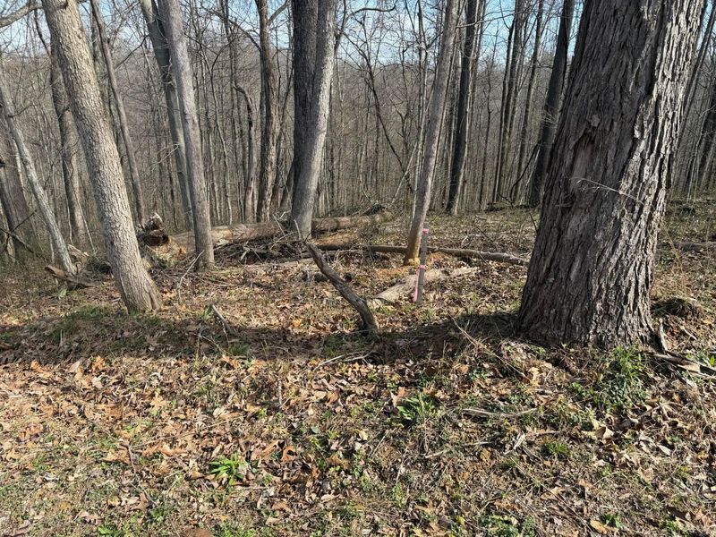 23972 Brown Road, Unit Lot 1, South Bloomingville, OH 43152 Photo 7