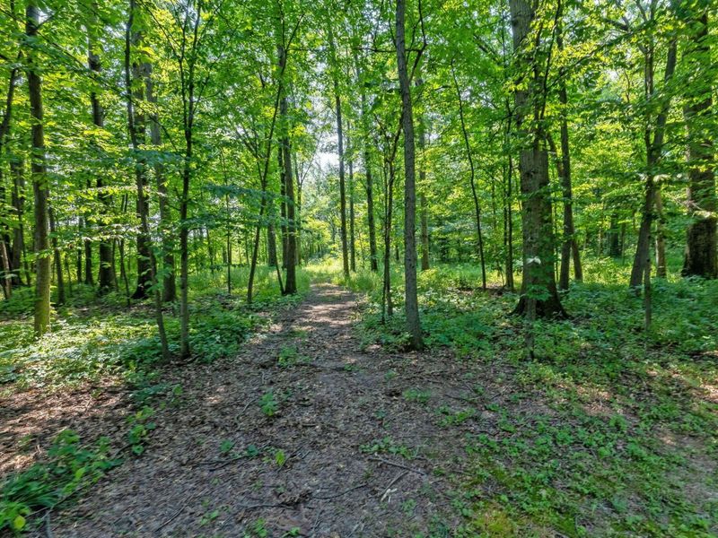 579 N County Line Road, Sunbury, OH 43074 Photo 63