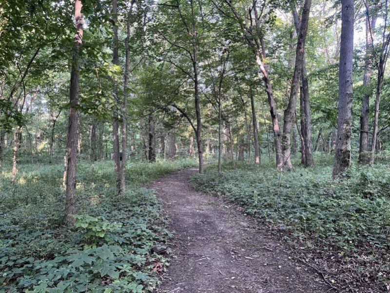 579 N County Line Road, Sunbury, OH 43074 Photo 8