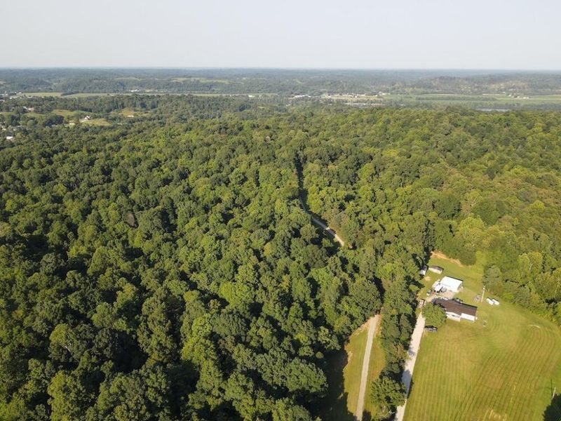 1481 Shoestring Ridge Road, Gallipolis, OH 45631 Photo 61