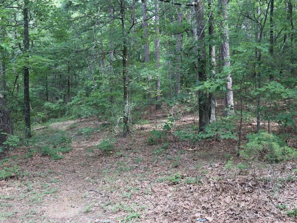 Long Branch Lane , Bee Branch, AR 72013