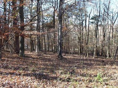 Lot 50 Backstrom Heights Road, Unit 63d-50, Eddyville, KY 42038
