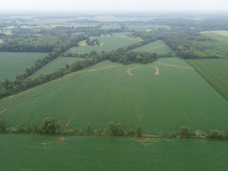 9782 Morrow Woodville Road, Harlan Twp, OH 45162 Photo 18