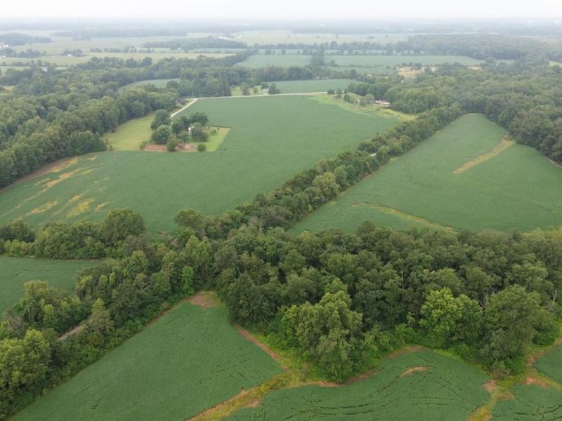 9782 Morrow Woodville Road, Harlan Twp, OH 45162 Photo 21