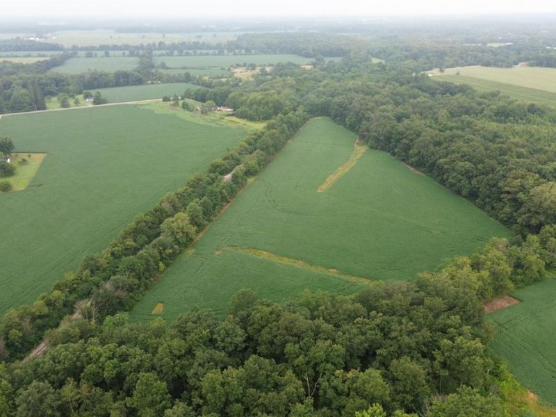9782 Morrow Woodville Road, Harlan Twp, OH 45162 Photo 22
