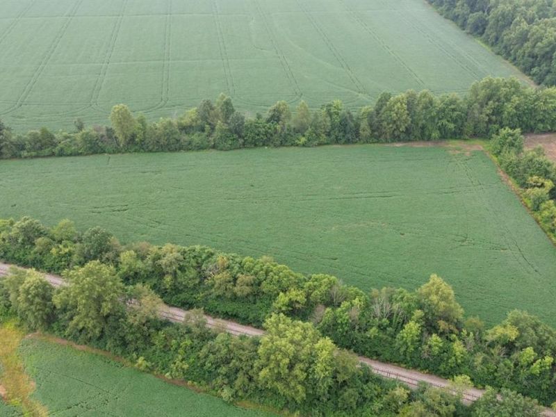 9782 Morrow Woodville Road, Harlan Twp, OH 45162 Photo 23