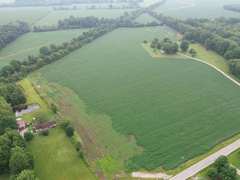 9782 Morrow Woodville Road, Harlan Twp, OH 45162 Photo 6
