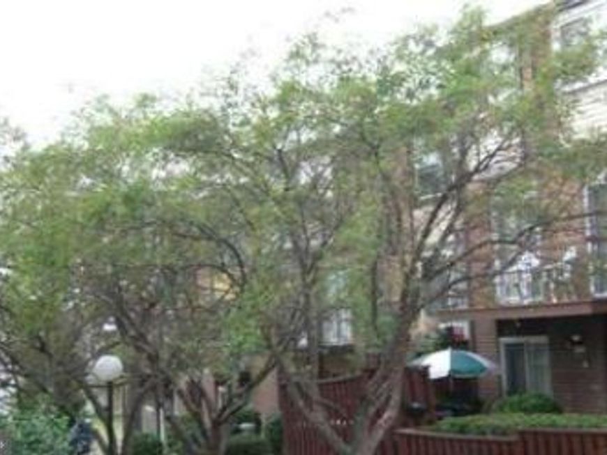 2334 Sun Valley Circle, Unit 1-FG, Silver Spring, MD 20906 Main Photo