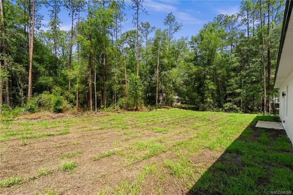 6097 N Darlington Drive , Citrus Springs, FL 34434 Photo