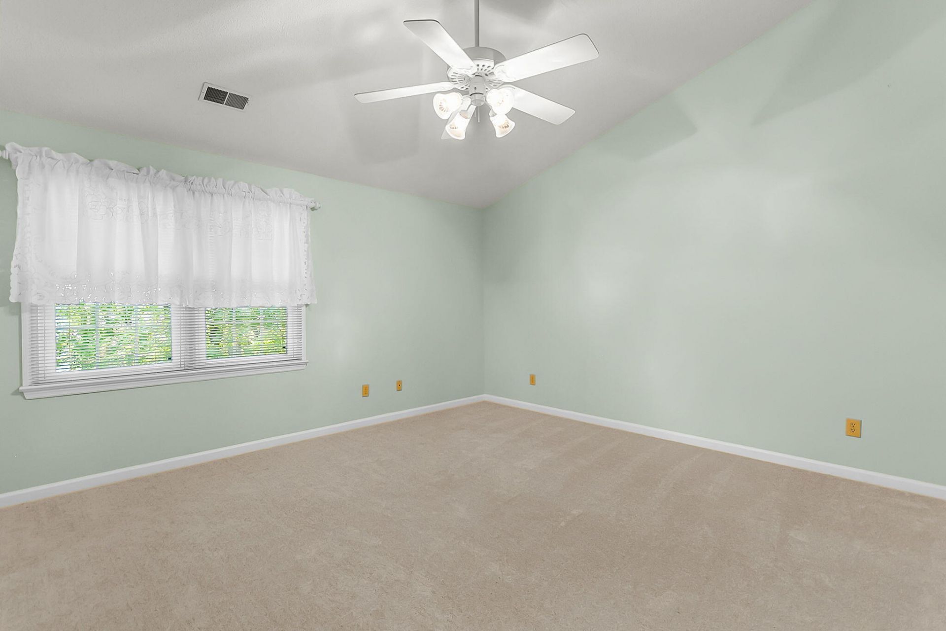 101 Batavia Court Photo 33
