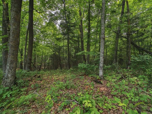 TBD 178th Ln/Garden Lane , McGregor, MN 55760