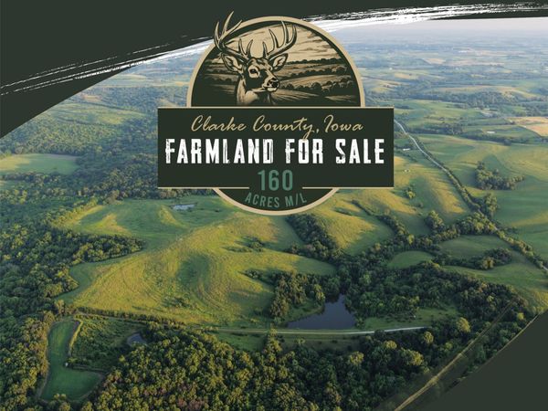 140th Avenue & Pacific Street, Murray, IA 50213