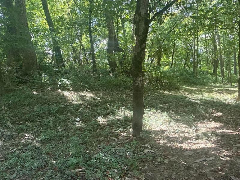 0 Lemaster Road , Athens, OH 45701 Photo 33