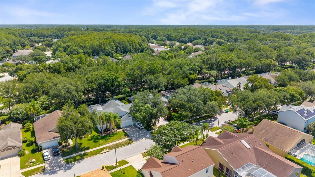 4287 Tremblay Way, Palm Harbor, FL 34685 Photo