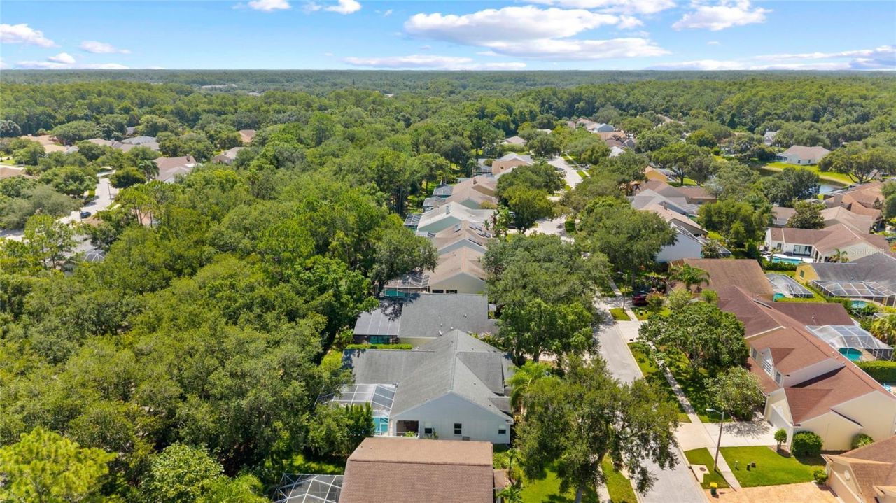 4287 Tremblay Way, Palm Harbor, FL 34685 Photo