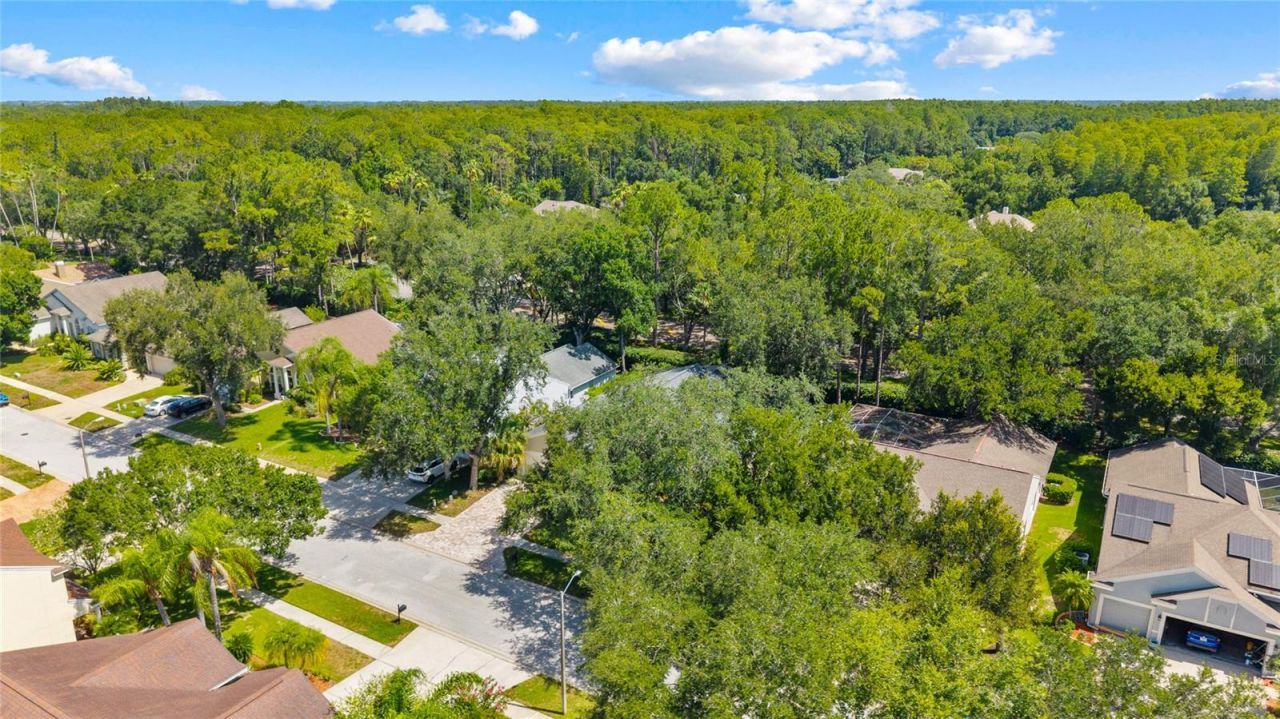 4287 Tremblay Way, Palm Harbor, FL 34685 Photo