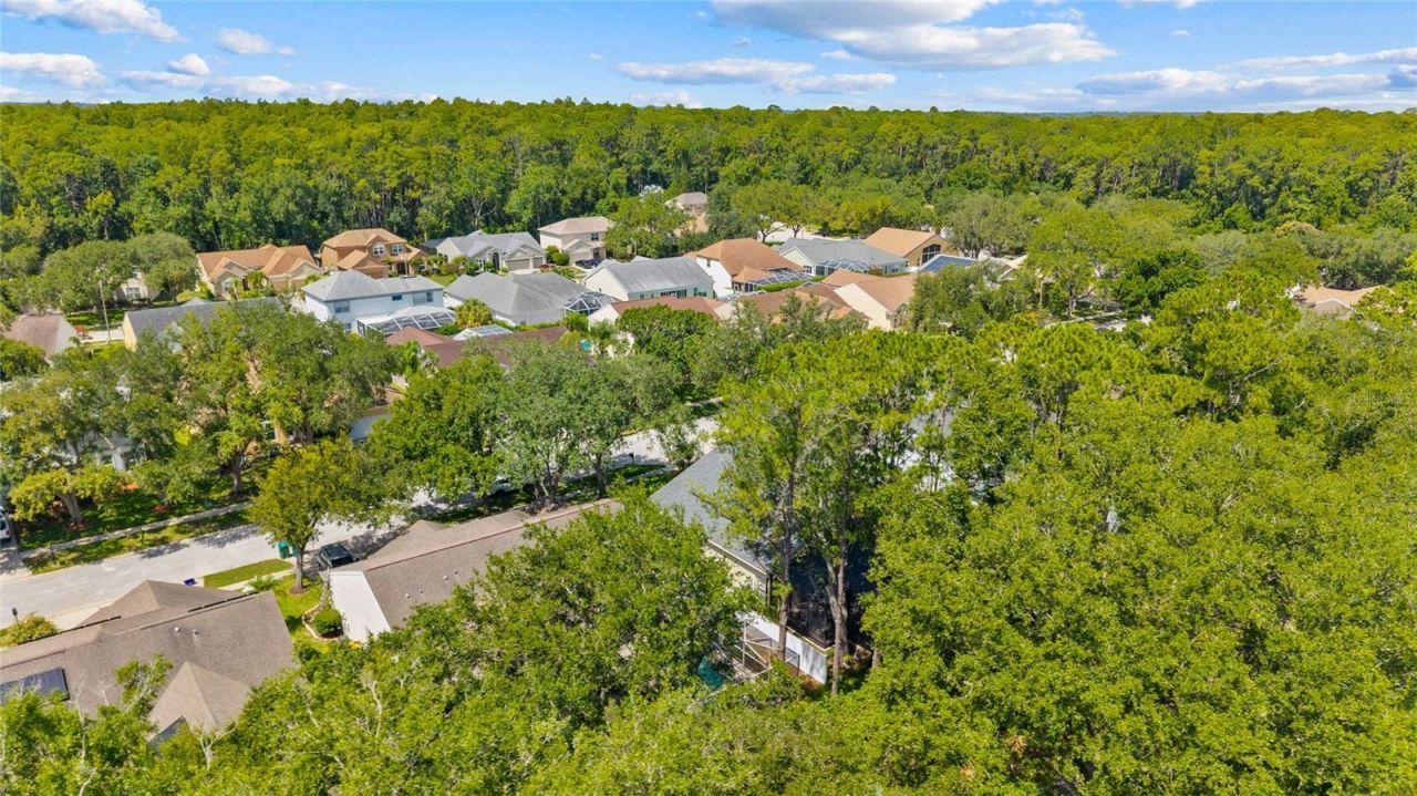4287 Tremblay Way, Palm Harbor, FL 34685 Photo