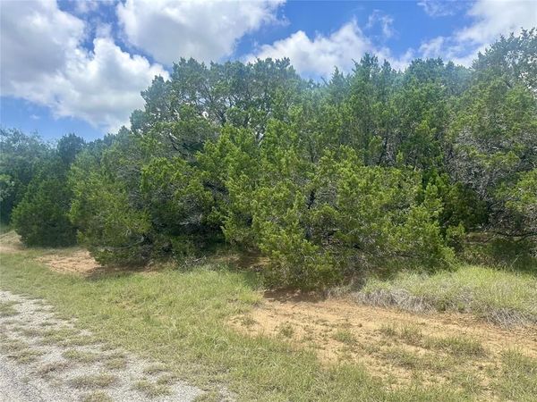 25058 Forrest Drive , Whitney, TX 76692