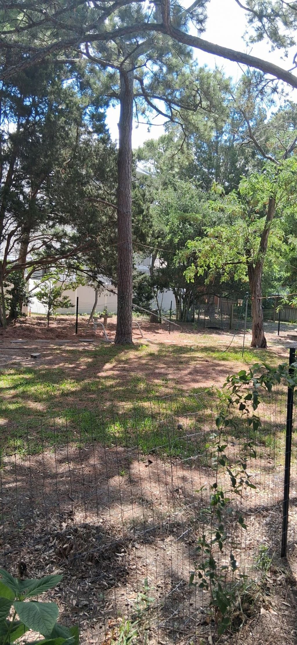 903 Tiffany Ln. Photo 29